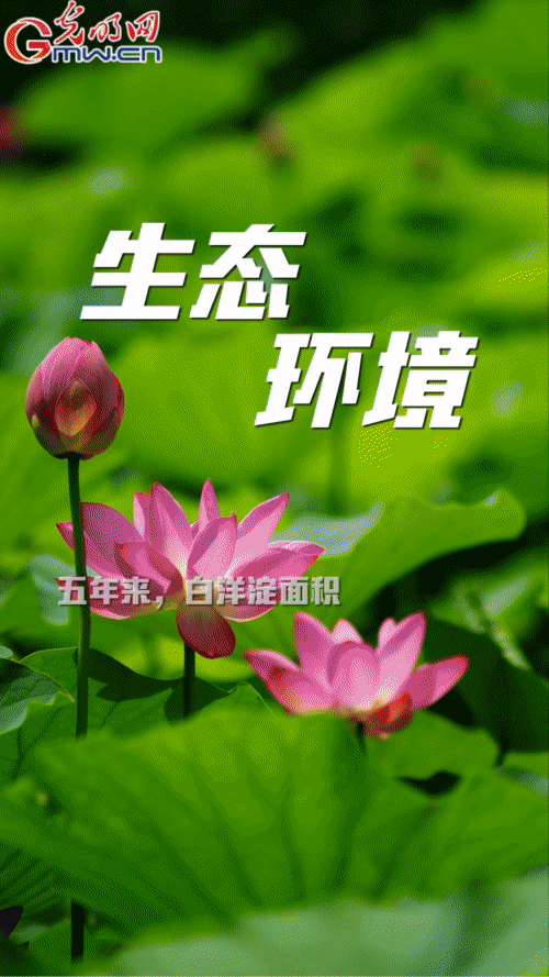 �����ӡ��������۰��^������^�M���ٵ�׃ δ��֮��������s