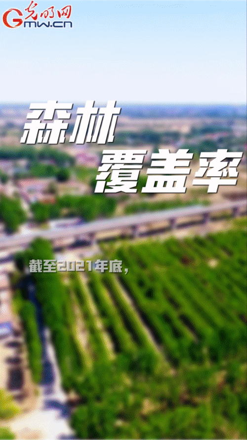 �����ӡ��������۰��^������^�M���ٵ�׃ δ��֮��������s