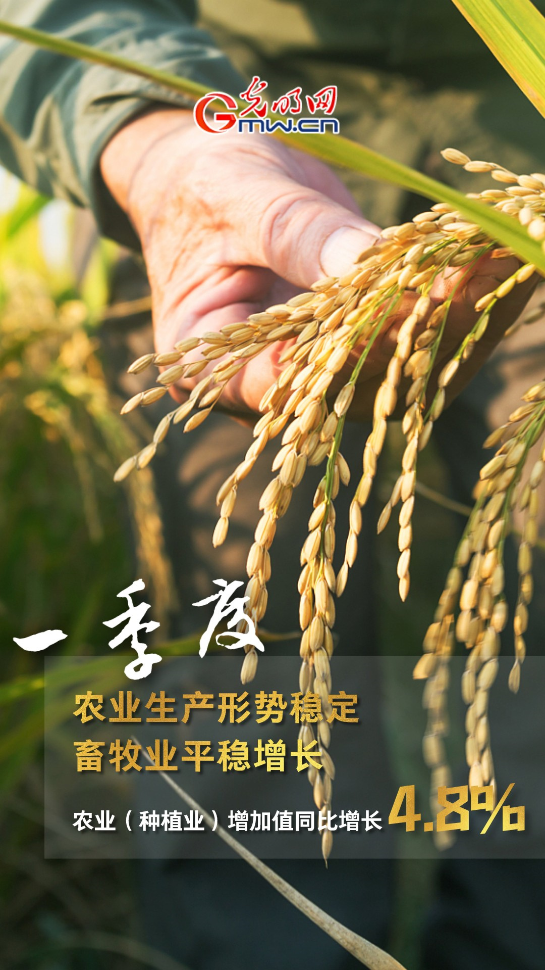 GDPͬ�����L4.8% һ���ȶ��(xi��ng)�ذ���(sh��)��(j��)����!