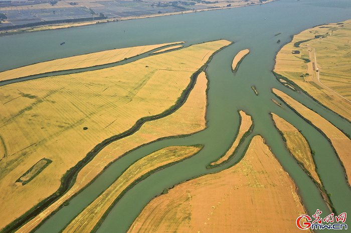 ���w���w�}���M�Dحϲ������ǧ���� �ֵ��ļZ�á��S����