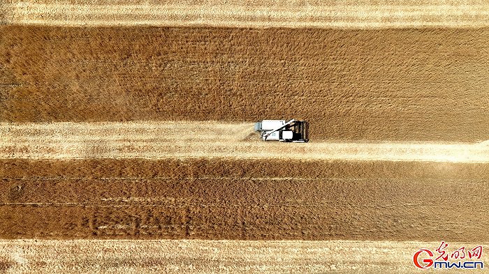 ���w���w�}���M�Dحϲ������ǧ���� �ֵ��ļZ�á��S����