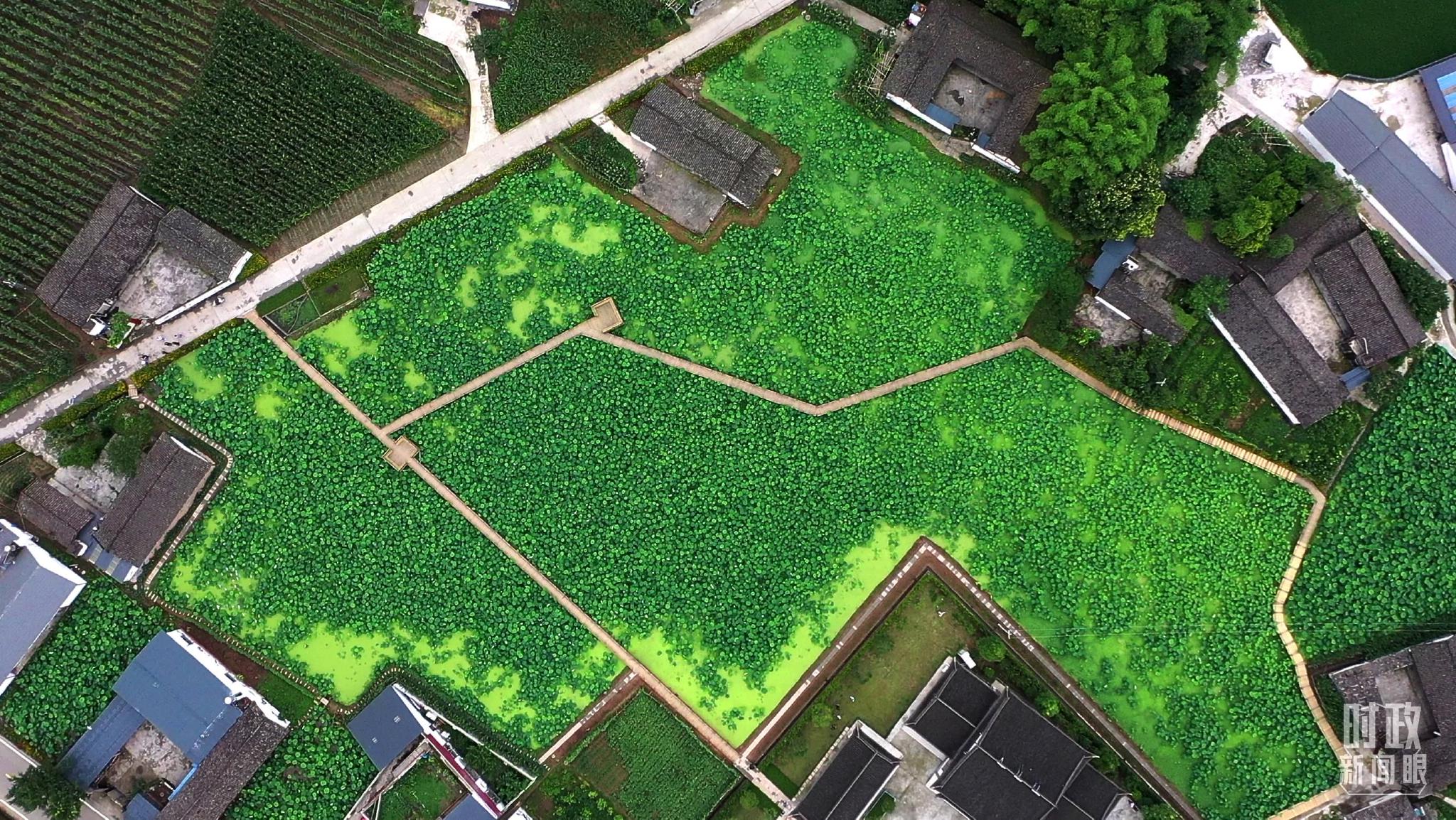 ��������S���������_ӛ���R���Ĕz��