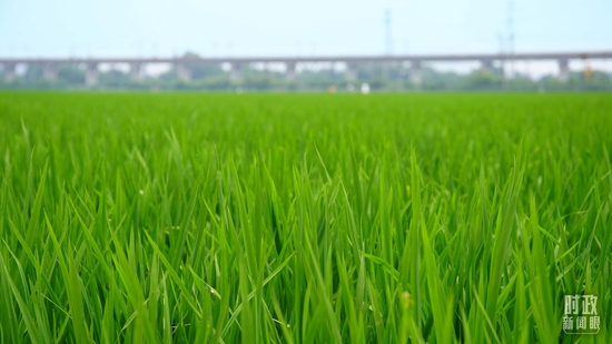  �����S��ĸߘ˜��r���������_��ҕӛ������Ĕz��