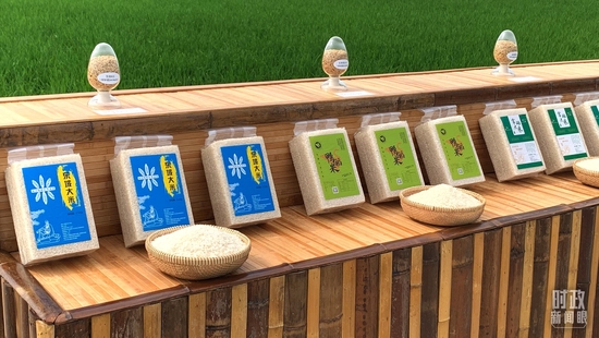  �����S����a�ĸ���׼��䵾�N�������_��ҕӛ���R���Ĕz��