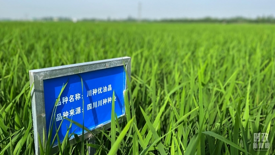  �����S��ȵ�ԇ����������_��ҕӛ���ϱ��Ĕz��