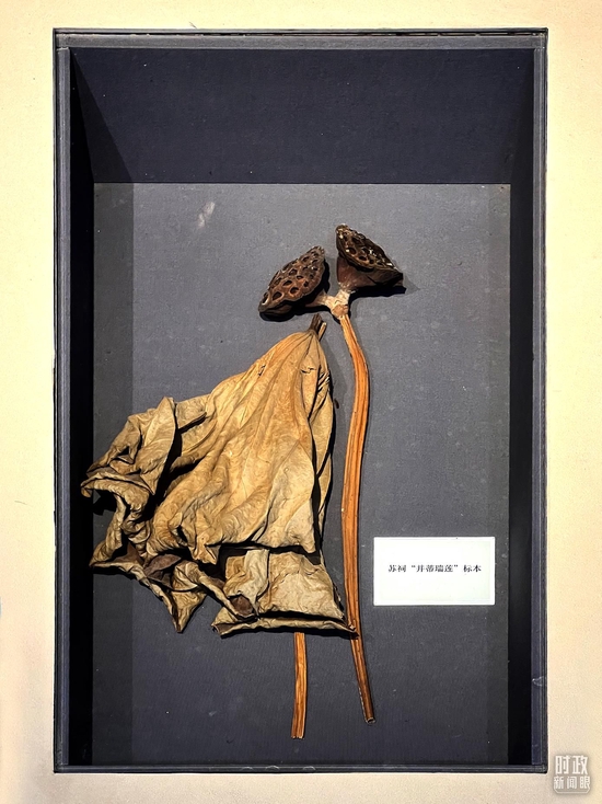 �����K��������ֵ�ͬ�ĵġ�������ɏ���������_��ҕӛ�ߗ������Ĕz��