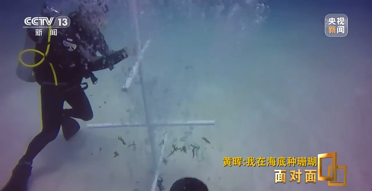 �挦��ح��ɺ���������S�����N��һƬ������ɭ�֡�