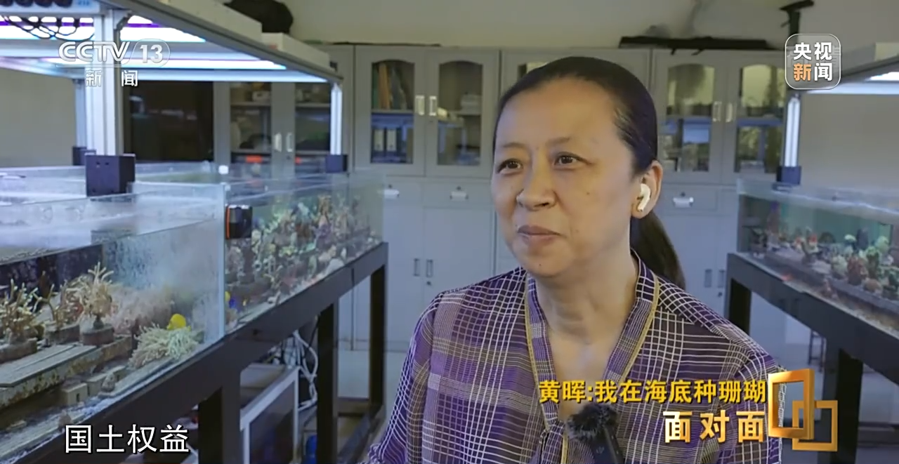 �挦��ح��ɺ���������S�����N��һƬ������ɭ�֡�