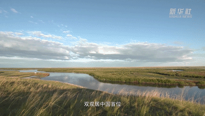 ������߅����������¡�ϵ��΢�o�Ƭ�ڶ��������l�ڱ����ֺ���