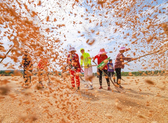 �r���Ո����rƽ���£��Ї��Zʳ���ŏ������