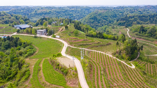 �Qɣ�Nֲ�����BD���а�悮a�I�k���D