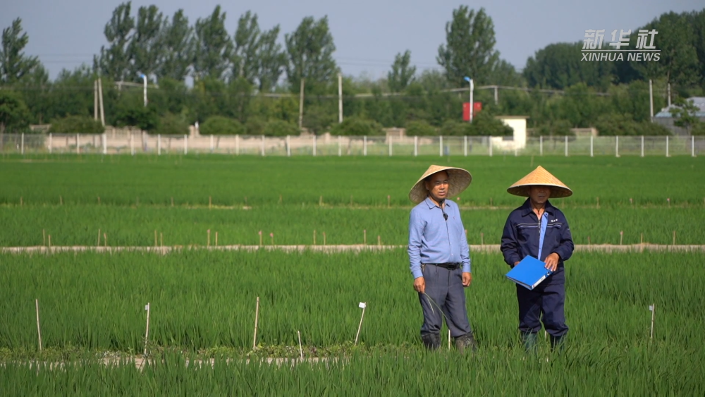 ���Aҕ�c(di��n)��һ���N һ�w��о��