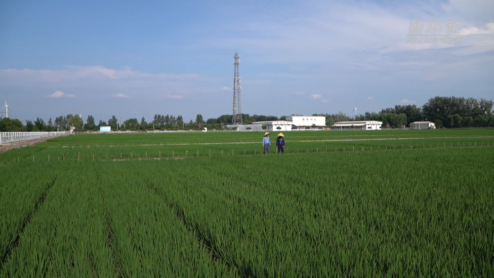 ���Aҕ�c(di��n)��һ���N һ�w��о��