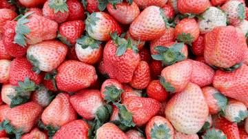 ��ζ����Ї�|���s���������[ζ��