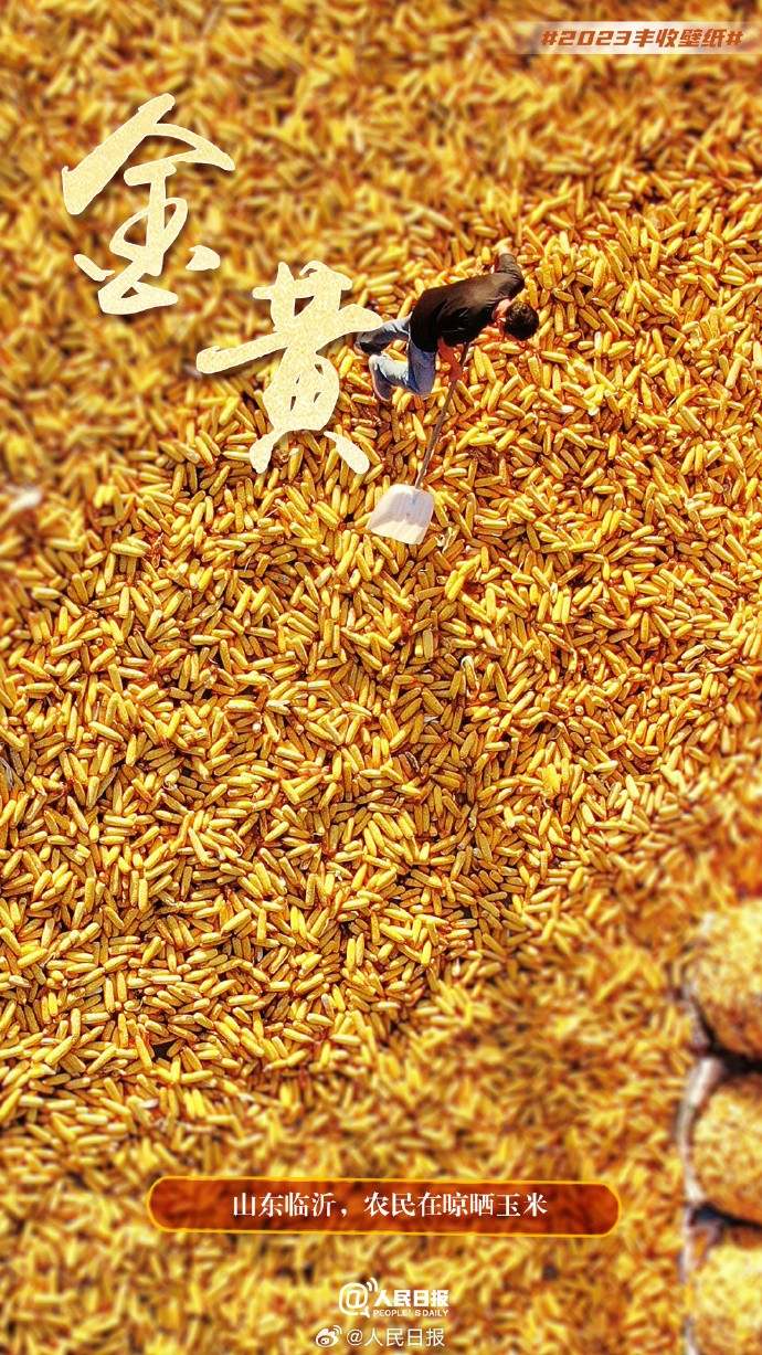 ����S�մ�أ������˱ڼ�