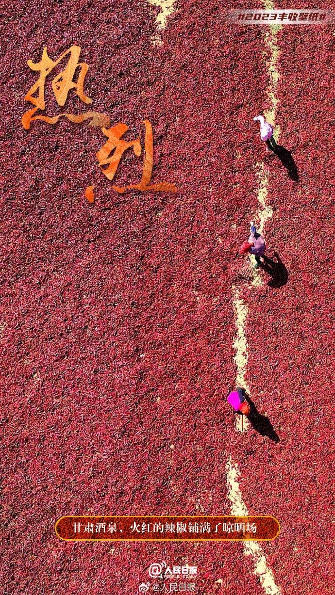 ����S�մ���������˱ڼ�