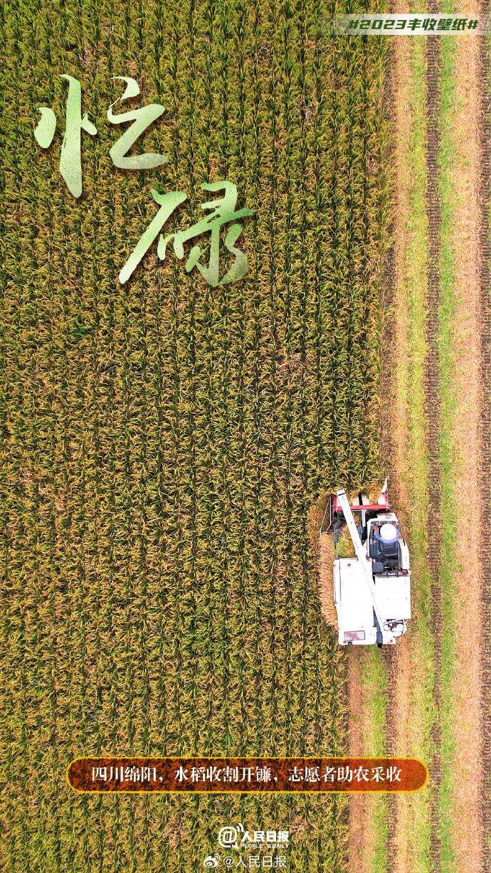 ����S�մ���������˱ڼ�