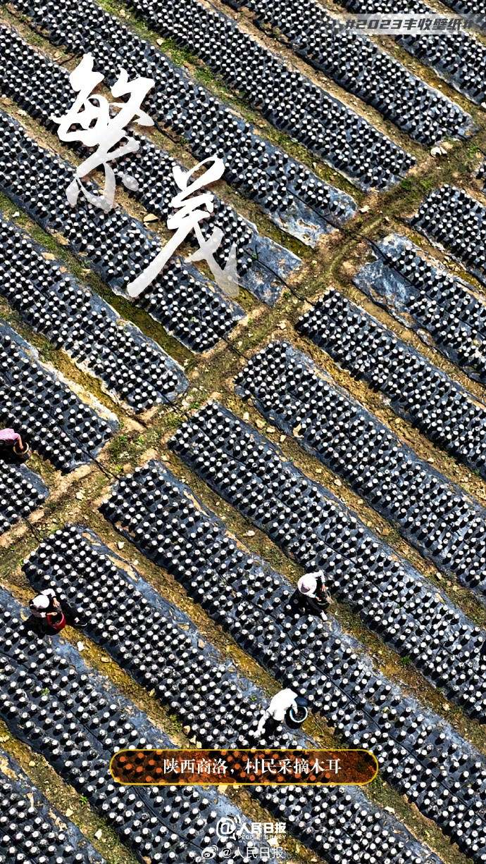 ����S�մ���������˱ڼ�