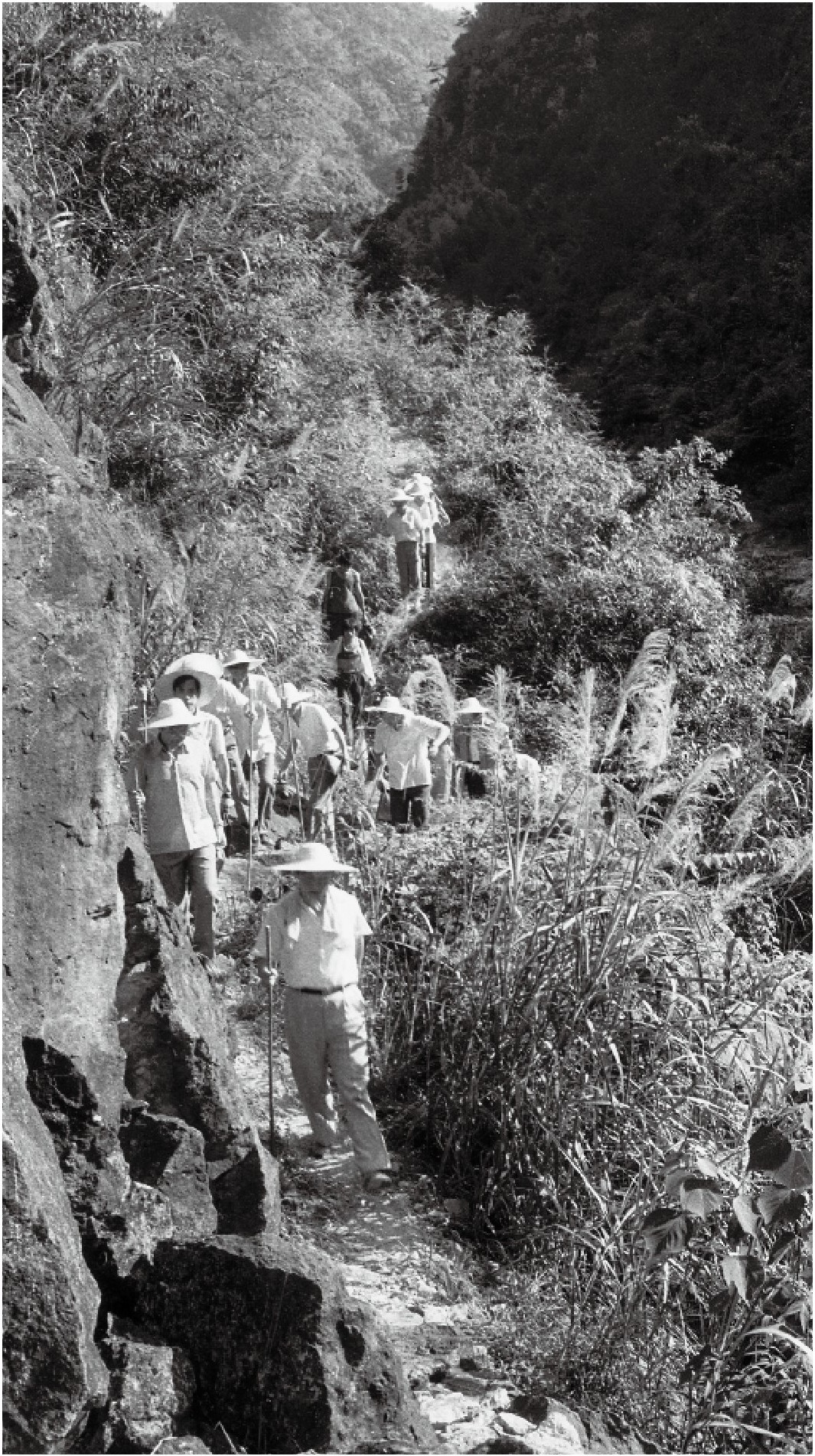 1989��7�£�����ƽһ�е��ی��h���h�l�{�С�