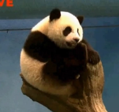 �A��׃��׃�������M��ۗ��{ �o���D����߅�ߵ�