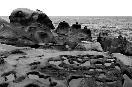 �~�|(zh��)�ղ���Ʒ �X�o Ұ��ӡ��