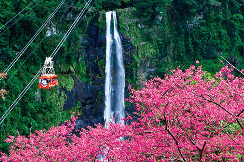 �Y�ψDƬ���������±����^��ٵ�