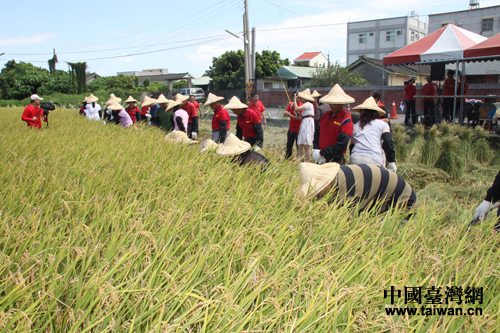 �_(t��i)���r(n��ng)���ո�æ���Ї��_(t��i)���W(w��ng) ʏ?f��)?�z��