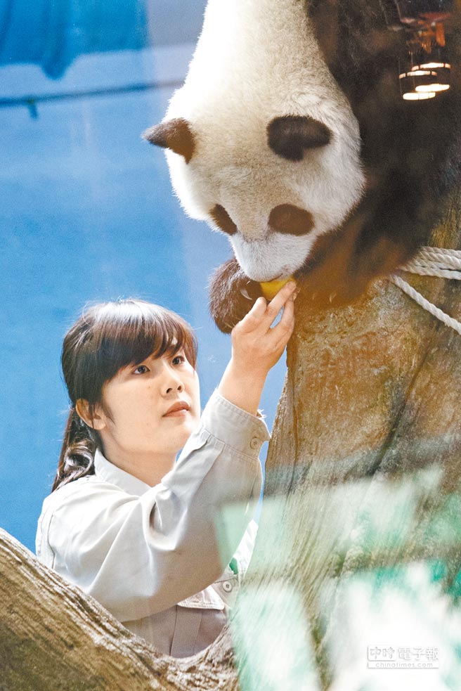 ��؈�����A�н�M�ܚq �T�����L(zh��ng)��