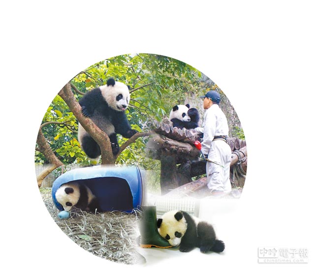 ��؈�����A�н�M�ܚq �T�����L(zh��ng)��