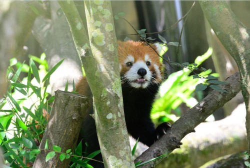 ����С��؈�g�g�_�����ࡡ��̎����ƨ�ɡ��u��(�D)