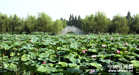 31�����ɰ�ý�wǰ����ɽ�����[�f������������ɽҰ���ɻ�������