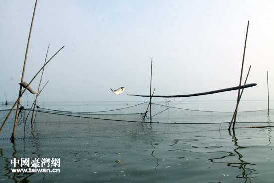 ��ͨ�����~�^(q��)���w�~�����^