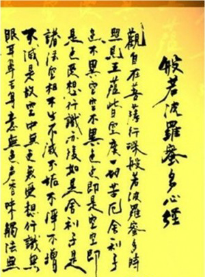 �����A��ë�P�ֳ����Ľ��������������