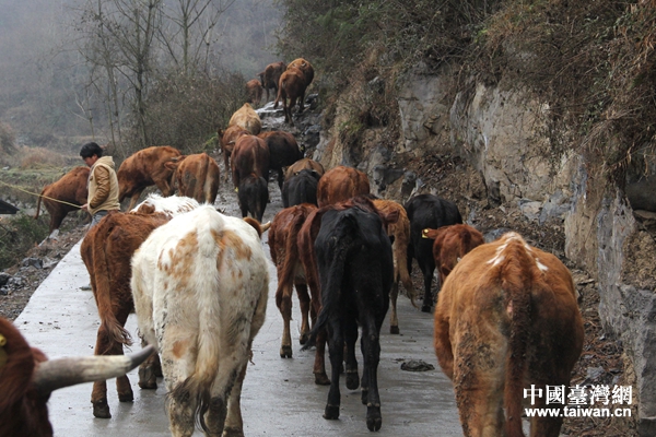 �����L����悈��P���Bţ����ؚ�����J���Bֳ��ţ�����Ї��_���W ������ �z��