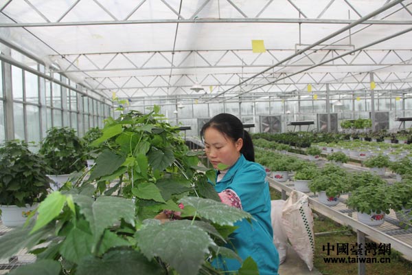 ��ï��������߲ˬF����Ч�r