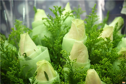 ���˹� �Ϸ��r���Ј�һƬ�t�𣨽M�D��