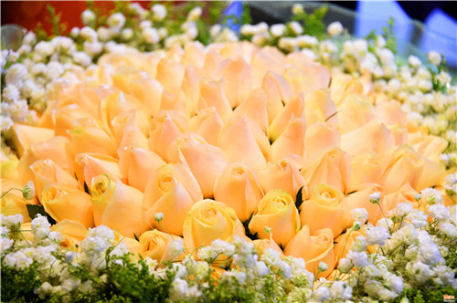 ���˹� �Ϸ��r���Ј�һƬ�t�𣨽M�D��