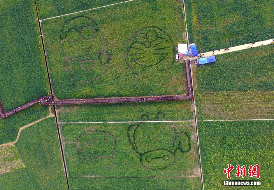 �ɶ��¶��^(q��)�����(zh��n)�Ͳ˵����Ĕz�����ġ��͈D���͡�l(f��)ove����marry me����Ӣ����ĸ�D����