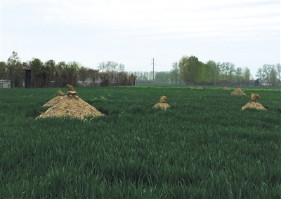 ���켯����r(n��ng)�������������˱���ĉ��^��