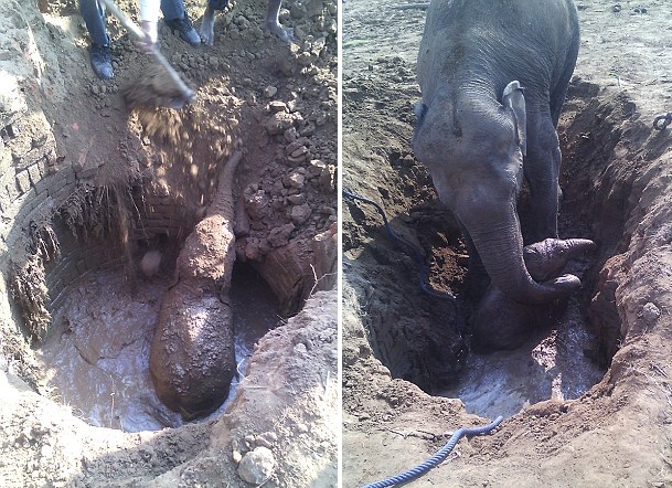 ӡ������M(j��n)ʩ���� �󋌋���ҹ���Q���