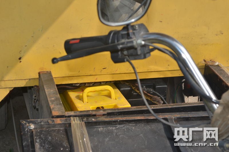 1.5���L���߱P����f܇���� �ƾ�����