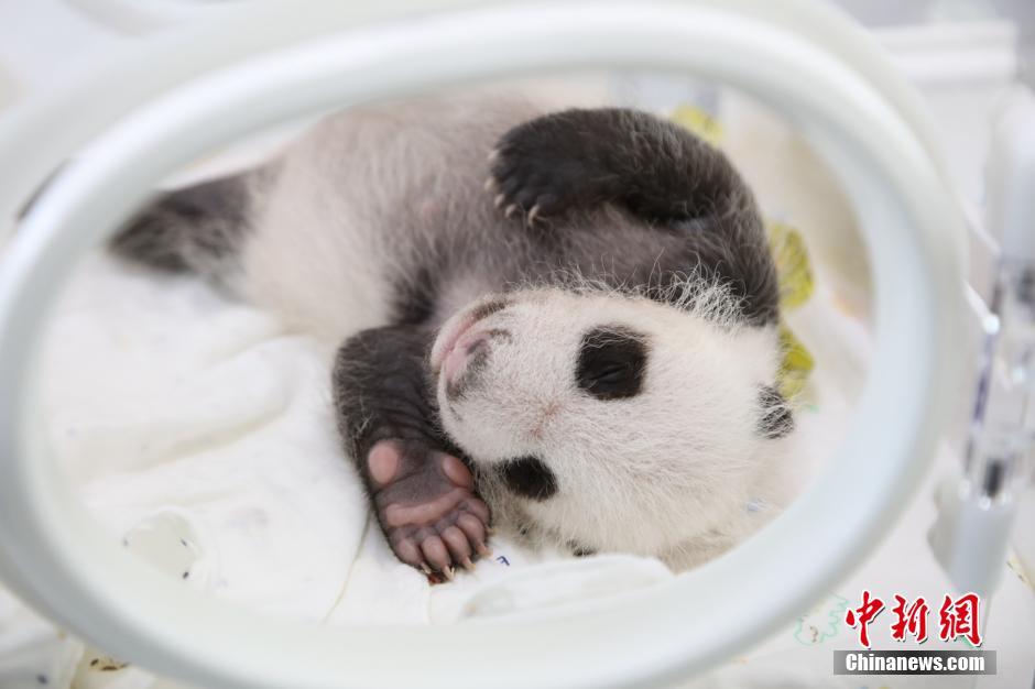 �Ϻ�����؈������ֻ����؈�������M�¡�