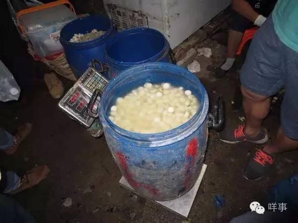 �V�|��@ˎˮ���R�����^ ��؜���҂��ā�����