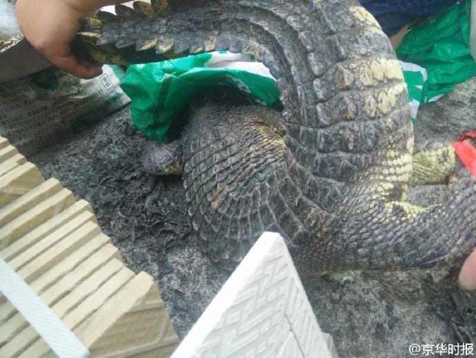 ��������B�sһ���L�{�~ ��ҹ����һ�ǻ��@