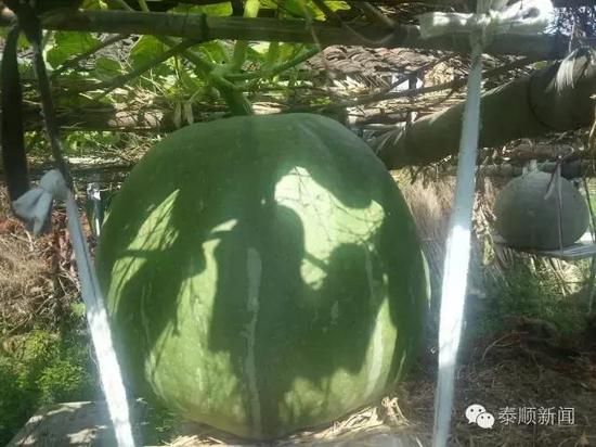 ����1���˷N��5�w�ޟo���Ϲ� ���һ���χ��_1��67