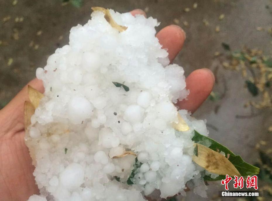 ���C����ͻ������ ���ϰ�ããһƬ