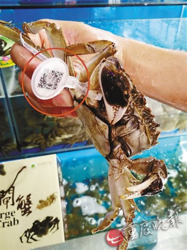 ꖳκ����lз��δ���_���ա�������Ѵ�Ҏģ����