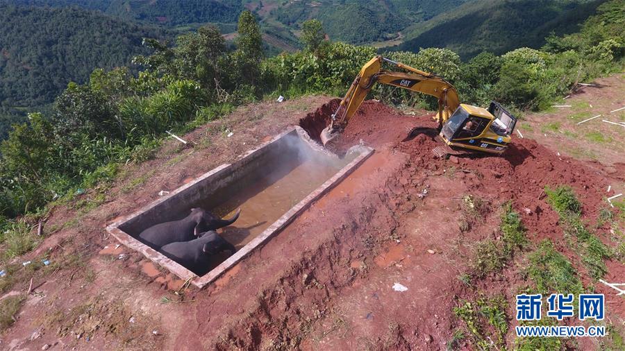 ����ˮ�������Ԯӛ����ֱ���C���ھ�C݆���ψ�(�M�D)