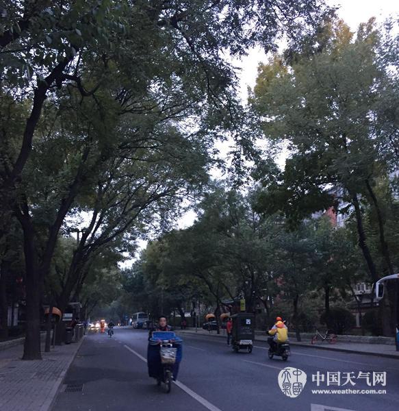 7���糿�����������F����ɢ��������^������������������������� �z��