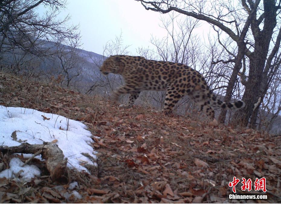 �������Ϡ��X�|���������E�M(j��n)��O(ji��n)�y(c��)�ԁ�(l��i)����S��